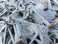 Ice crystals frozen water