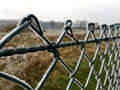 Ice crystals on a green wire mesh fence Royalty Free Stock Photo