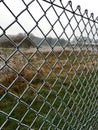 Ice crystals on a green wire mesh fence Royalty Free Stock Photo