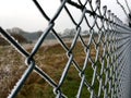 Ice crystals on a green wire mesh fence Royalty Free Stock Photo