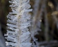 Ice crystals