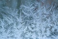 Ice crystals pattern on the window