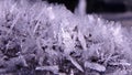 Ice crystals