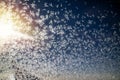 Ice crystals on the plane window. Frozen porthole glass and snow