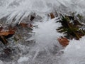 frozen water crystals of varuÃ­ous shapes in a bohemian forest brook