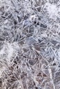 Ice crystals under frozen puddle Royalty Free Stock Photo