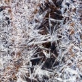 Ice crystals under frozen stream Royalty Free Stock Photo