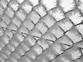 Ice crystals on a wire mesh fence close-up. Leningrad region. Royalty Free Stock Photo