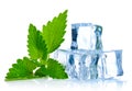 Ice cube with leaf of melissa Royalty Free Stock Photo