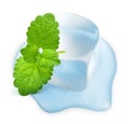 Ice cube with mint leaf Royalty Free Stock Photo