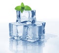 Ice cube and mint