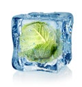 Ice cube and savoy cabbage