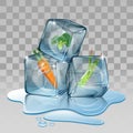 Ice cube, set with carrot and broccoli