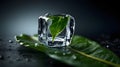 Ice cube slowly melting on a green leaf Royalty Free Stock Photo