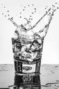 Ice cube splashing into a glass of water Royalty Free Stock Photo