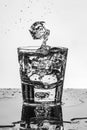 Ice cube splashing into a glass of water Royalty Free Stock Photo