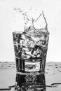 Ice cube splashing into a glass of water Royalty Free Stock Photo