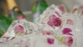 Ice cubes with encapsulated pink flowers roses for cocktail decoration at bar