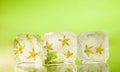 Ice cubes with flower bud on table Royalty Free Stock Photo