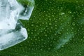 Ice cubes on green leaf Royalty Free Stock Photo