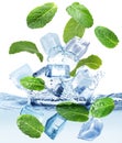 Ice cubes and green mint leaves falling into water on white background Royalty Free Stock Photo