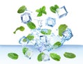Ice cubes and green mint leaves falling into water on white background Royalty Free Stock Photo