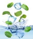 Ice cubes and green mint leaves falling into water on white background Royalty Free Stock Photo