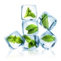 Ice cubes with green mint leaves