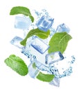 Ice cubes and green mint leaves with water splash on white background Royalty Free Stock Photo