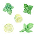 Ice cubes,lime wedge and basil leaves isolated on white background