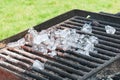 Ice cubes melting on a barbeque grill Royalty Free Stock Photo