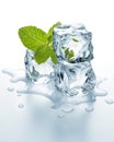 Ice cubes with mint