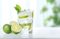 ice cubes, mint herb and fresh lime slices in glass on white wooden table