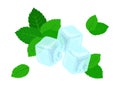 Ice cubes and mint leaves isolated. Fresh leaf of spearmint and ice. Vector illustration