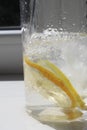 Ice cubes and pieces of lemon in a glass
