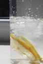 Ice cubes and pieces of lemon in a glass