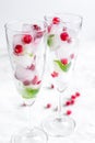 Ice cubes with red berries and mint in glasses on white background Royalty Free Stock Photo