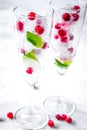 Ice cubes with red berries and mint in glasses on white background Royalty Free Stock Photo