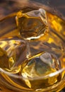 Ice cubes in scotch bourbon whiskey. Macro Royalty Free Stock Photo