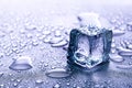 Ice cubes and water melt on cool background. Ice blocks with cold drinks or beverage