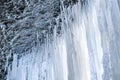 Ice curtain under a frozen waterfall Royalty Free Stock Photo