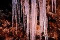 Ice Cycles on Rock in Morning Light Royalty Free Stock Photo