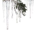 Ice cycles and ice covered branch