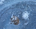 Ice detail, bubbles and leaf frozen in Alava Royalty Free Stock Photo