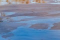 Ice on dirty water as an abstract background Royalty Free Stock Photo