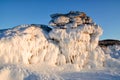 Ice dragon from frozen rock, fantastic winter landscape, closeup