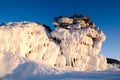 Ice dragon from frozen rock, fantastic winter landscape, closeup