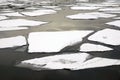 Ice drift broken ice floes floating on the river