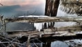 Ice on fence