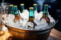 Ice enveloped pail cools beer filled bottles, ensuring a frosty and satisfying drink Royalty Free Stock Photo